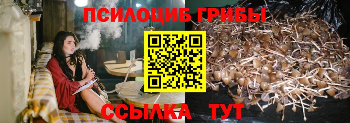 Озёрск  Псилоцибиновые грибы прущие грибы  Вход с VPN 